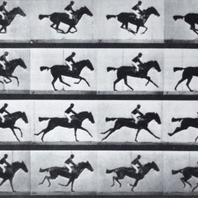 © Eadweard Muybridge, Galloping Horse, 1883-85
